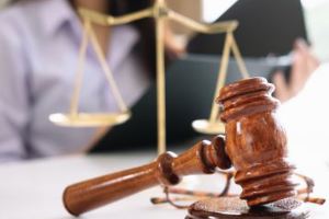 The Ethics Review Process Modules